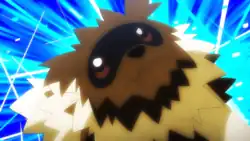 Rocket Prize Master's Zigzagoon