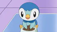 Professor Rowan's Piplup