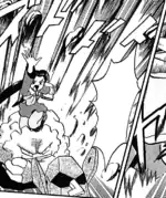 Rock Blast being used by Roxanne's Graveler