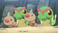 Orla's Caterpie (×2)