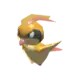 Pidgeot