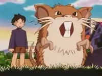 Schoolboy's Raticate