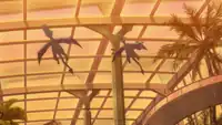 Scientist's Aerodactyl