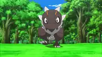 Scientist's Tyrunt