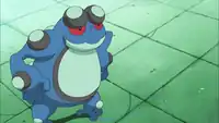 Sean's Seismitoad