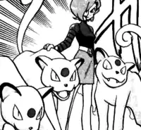 Team Rocket's Persian