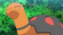 Shell Sage's Torkoal