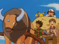 Mr. Shellby's Tauros