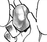 A Shiny Stone in the HeartGold & SoulSilver arc