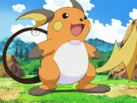Sho's Raichu