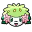 Shaymin