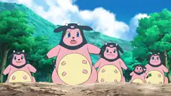 Sima's Miltank (multiple)