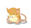 Raticate