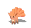 Vulpix
