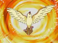 Solidad's Pidgeot