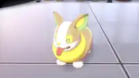 Sonia's Yamper