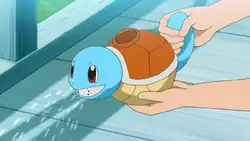 A Squirt Bottle in Pokémon Journeys: The Series