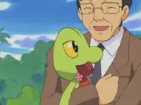 Stephanie's father's Treecko