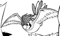 Takashi's Pidgeotto