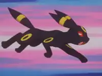 Tamao's Umbreon