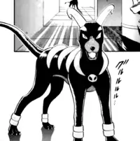 Team Galactic Grunt's Houndoom