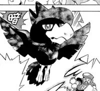 Team Rocket's Murkrow