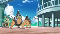 A Poké Ride Tauros