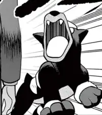 Team Star Grunt's Houndour