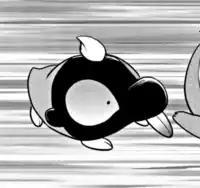 Team Star Grunt's Shroodle