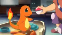 Tierno's Charmander