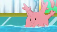 Tito's Corsola