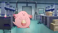 Toren's Chansey