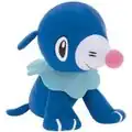 Popplio
