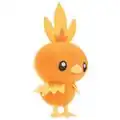 Torchic