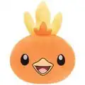 Torchic