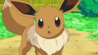 Virgil's Eevee