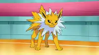 Volkner's Jolteon