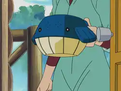 A Wailmer Pail in Pokémon the Series: Ruby and Sapphire