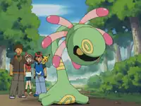 Professor Proctor's Cradily