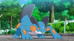 Wallace's Swampert