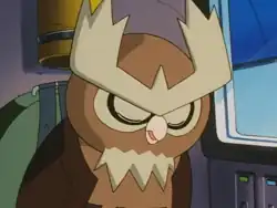 Wings Alexander's Noctowl in the present day