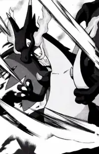 X's Mega Charizard X