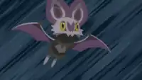 Yuha's Noibat
