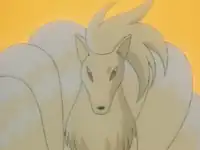 Zane's Ninetales