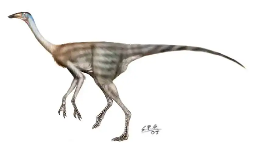 1708_struthiomimus_sergio_perez.jpg