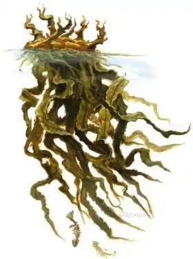 d&d_kelp_angler_3e.jpg