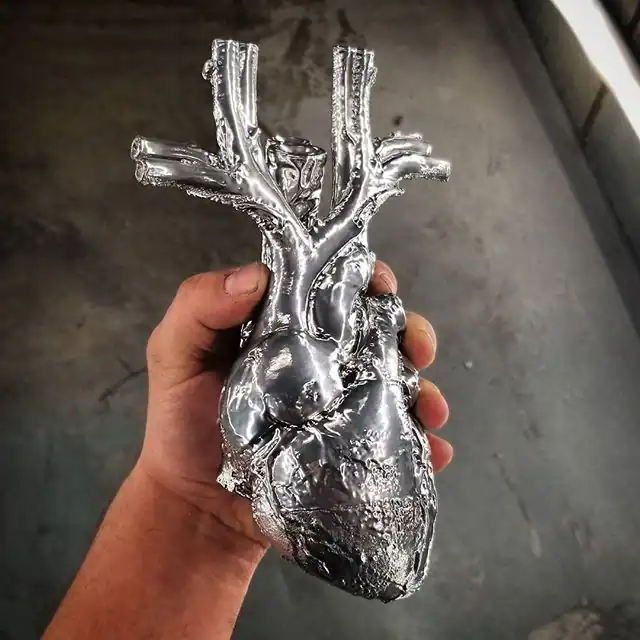 Human_Heart_4.jpg