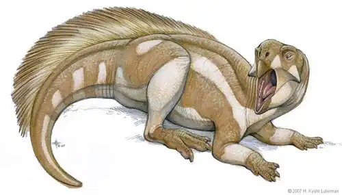 psittacosaurus_kl_0426.jpg