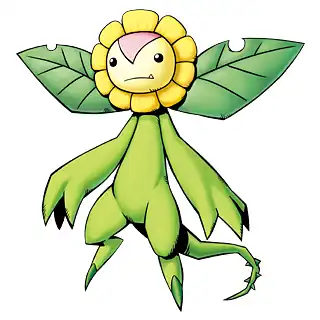 sunflowmon.jpg