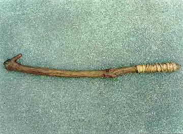 atlatl_branch2.jpg
